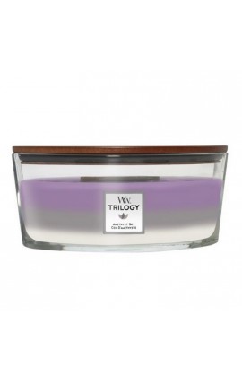 WoodWick Trilogy Amethyst Sky Hajó illatgyertya